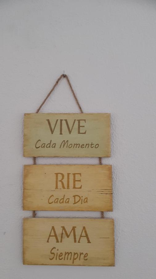 Atico En Centro Apartament